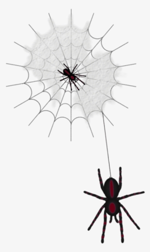 Halloween Web With Spiders Png Clipart - Spiders Png