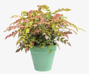 Home > Collection > Loft Urban Round - Elho Loft Urban Around 25 X 22 Cm Anthracite D / S.