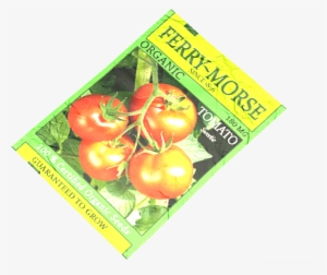 Tomato Seeds - Tomato