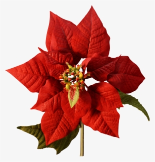 Happy Christmas Png - Various Artists / Christmas Panpipe