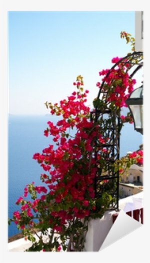 Balcony With Flowers Greece