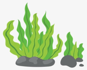 Seaweed Clip Art - Seaweed Clipart