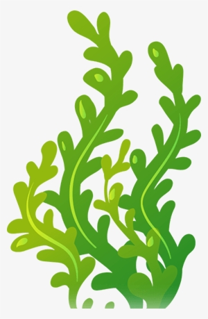 Image Title - Seaweed Clipart