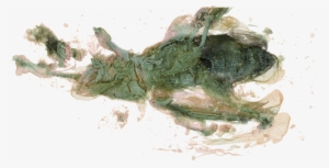 Petalotarsus-04 - Visual Arts