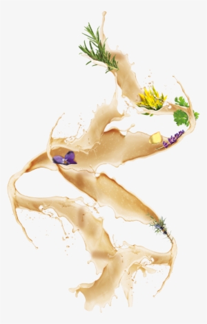 Bild1 Bild2 Bild2 - Illustration