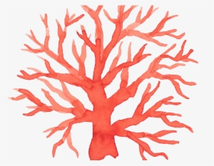 6 Months Membership To Bring Art Home - Plants