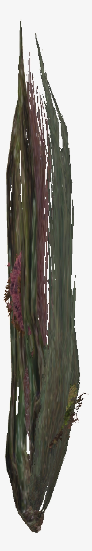 Thin Seaweed - Sketch