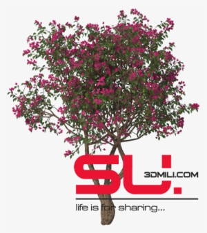 This Content Is Locked