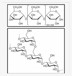 The Biochemical Compound Starch Detected By Nir Is - Starch Structure