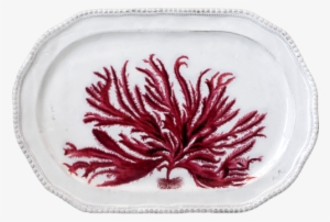Red Seaweed Platter - Red Seaweed