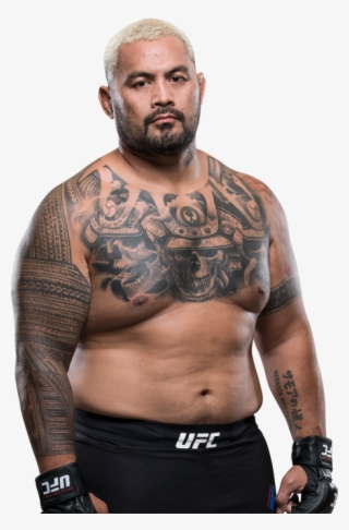 Biography - Mark Hunt Vs Justin Willis