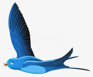Free Png Download Blue Bird Cartoon Transparent Clipart - Bird Cartoon Transparent Background