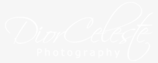 Twitter White Bird Logo