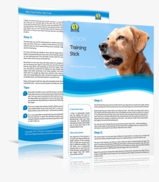Share This Free Dog Training Lesson With Your Dog Loving - Labrador Retriever