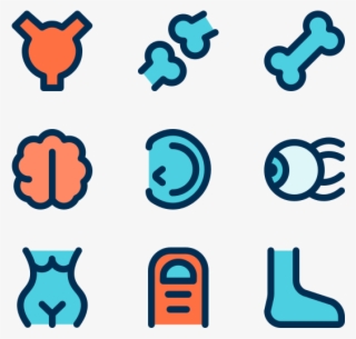 Body Parts