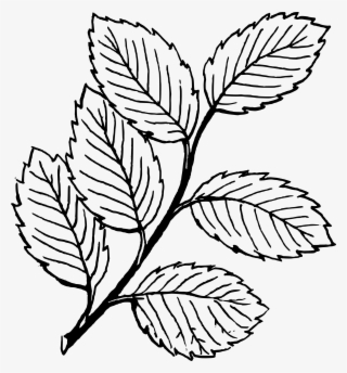 Png Royalty Free Stock Clip Art Alihkan Us Image Cad - Clip Art