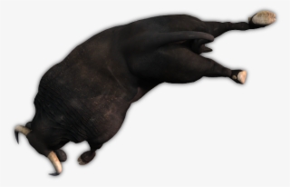 29 208k Bull 5 Rs - Horse