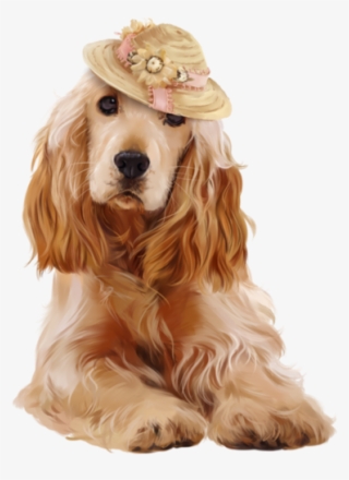 Good Morning Messages With Dogs