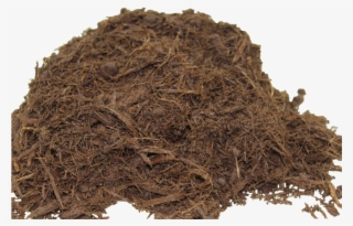 Color Enhanced Hardwood Bark - Nilgiri Tea