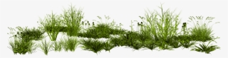 Gimp Rendering Photoscape Creative Green Grass Png - Transparent Tall Grass Png