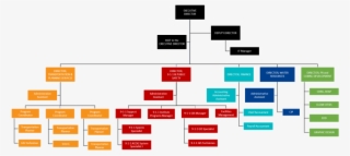 Acog Organizational Chart Org Template Word Icon - Executive Assistant Org Chart