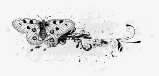 Glitter Overlays - Illustration