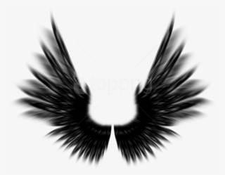 Free Png Shield With Wings Png Png Image With Transparent - Meg Masters Fan Art