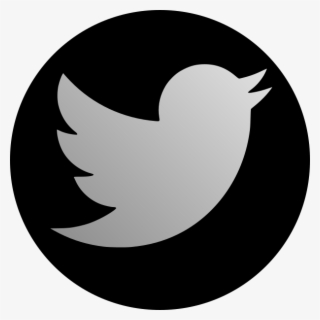 Twitter Logo For Youtube