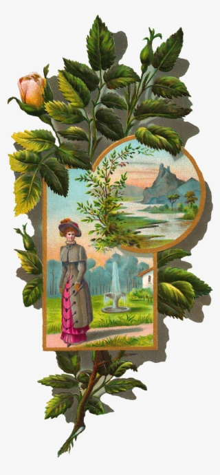 Rose Frame Clip Art - Gambel Oak