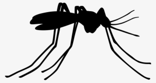 Mosquito Insect Side View Comments - No Mosquito Png