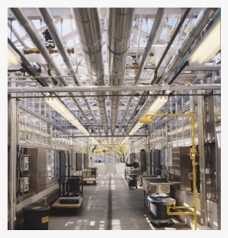 Cornell Greenhouse - Ceiling