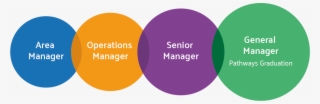 Your Fast Track To Senior Management - Circle