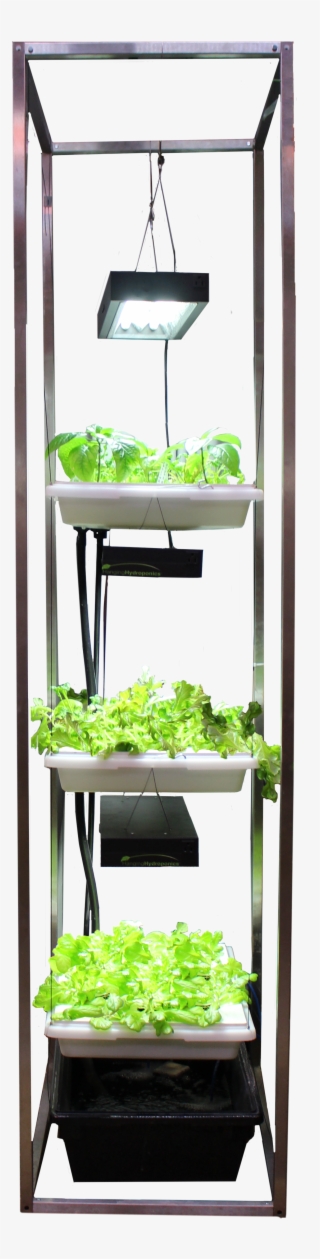 Hanging Hydroponics® - Leaf Vegetable