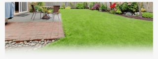 Residential Lawn Care - Clean Backyard