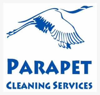 Parapet Cleaning Services