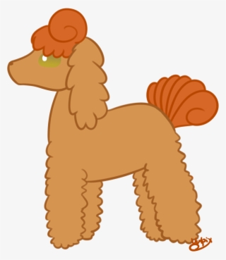 Vulpix Daily - Standard Poodle