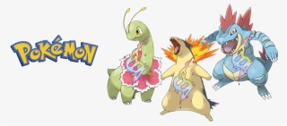 Among Those New “pocket Monsters” Are The Mega Johto - Gen 2 Pokemon Starter Final Evolutions