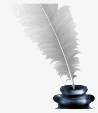 Quill Clipart Pluma - Still Life Photography