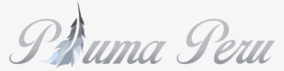 Logo Design By Shamdaxx For Pluma Peru - Calligraphy