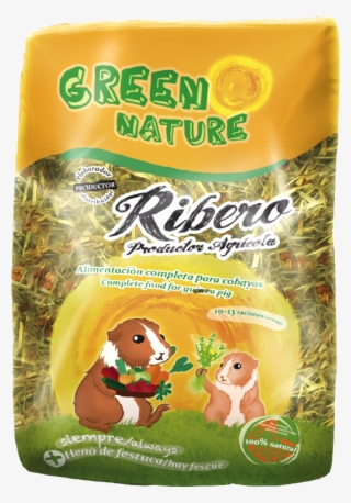 For Guinea Pigs - Ribero