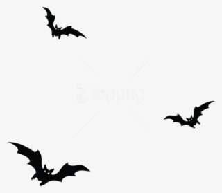 Free Png Download Haunted Bats Png Vector Png Images - Bats Png