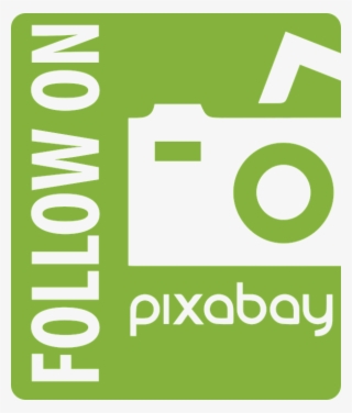 Icon, Button, Logo, Members, Social Networks, Buttons - Pixabay