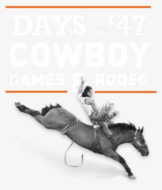 Days Of 47 Cowboy Games Rodeo - Mare