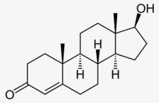 Transgender Canadian Cyclist Wins Key Battle In Human-rights - Testosterone Structure