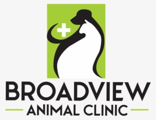 We Offer Carecredit - Graphic Design