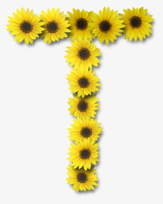 588 X 738 10 - Letter T With Sunflower