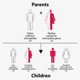 Hemophilia Inheritance Pattern Chart - Save The Children - 550x565 PNG ...