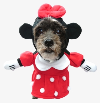 Disney Pet Dog Costume Small Toy Story Buzz Lightyear - Minnie Mouse