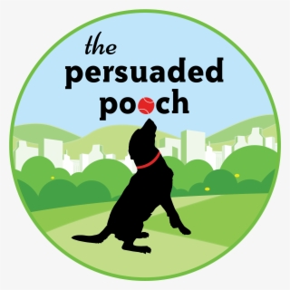 St Louis Mo Dog Training And Dog Training Classes - Dog Catches Something