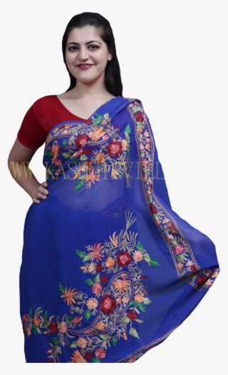 Royal Blue Colour Saree With Aari Work Border And Bold - Photo Shoot
